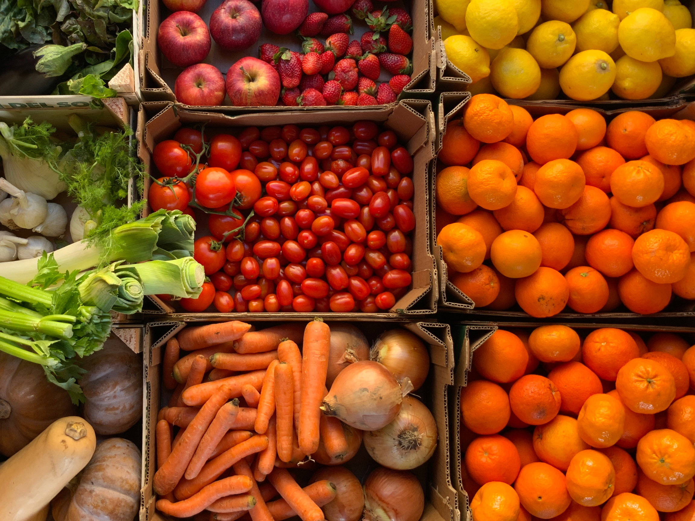 fresh fruits and vegetables